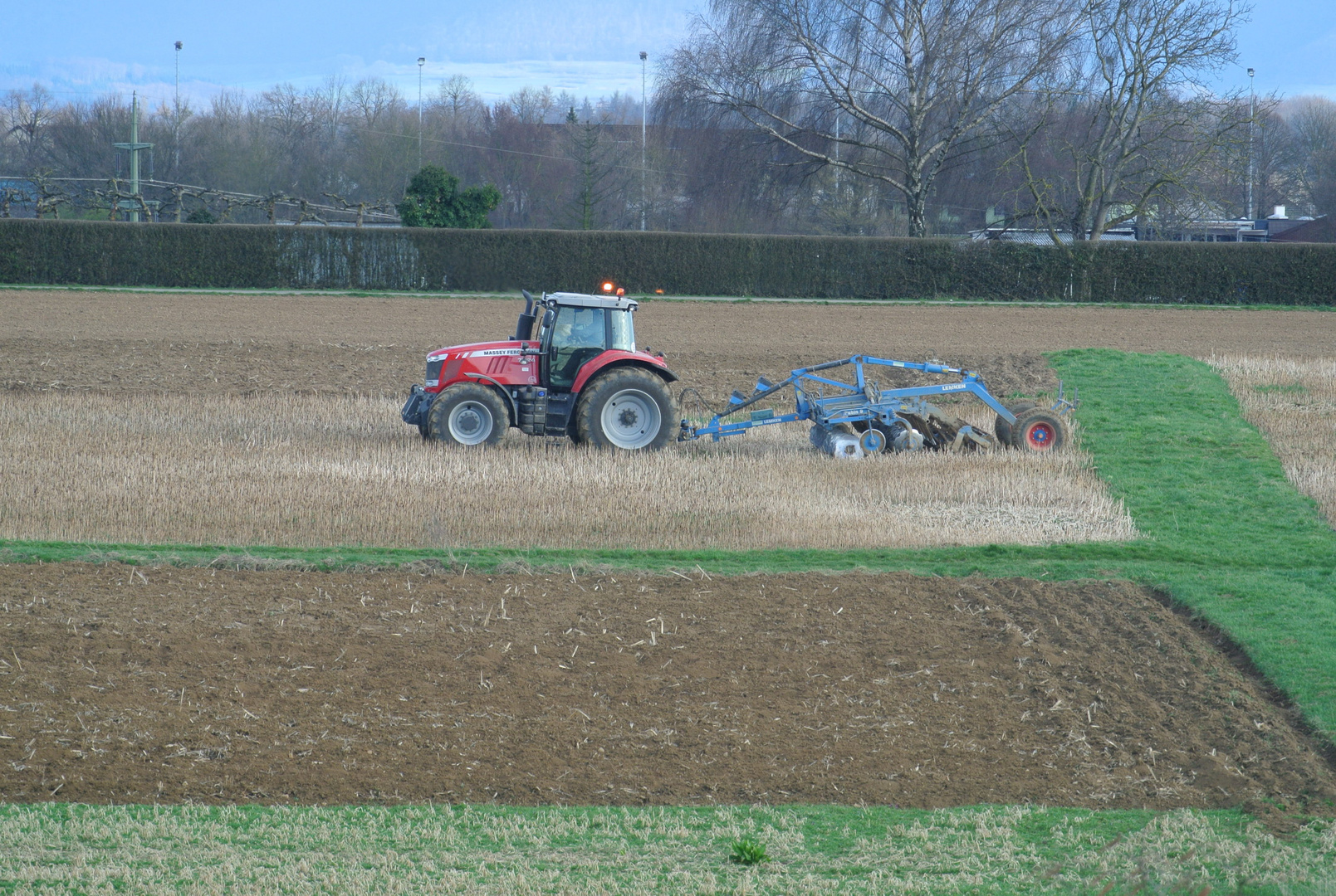 Schnappschuß aufs Feld