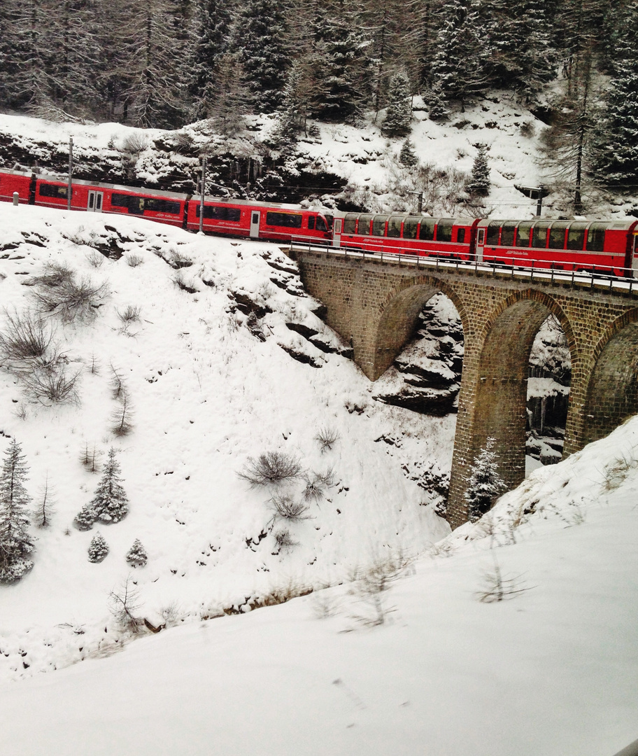 Schnappschuss aus dem Bernina Express