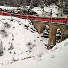 Schnappschuss aus dem Bernina Express