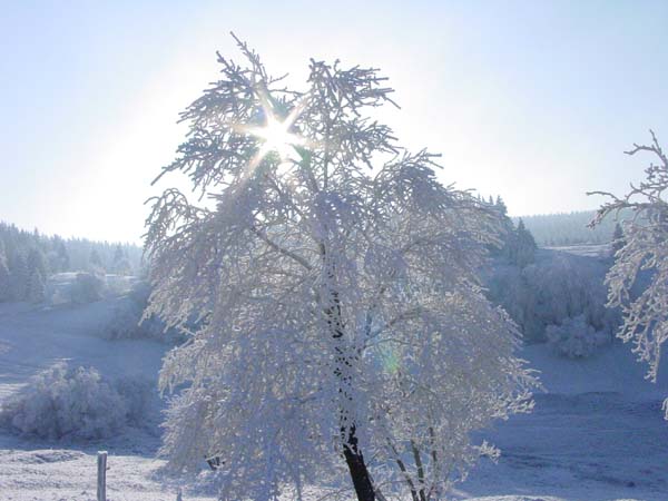 Schnappschuß bei -15 °