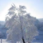 Schnappschuß bei -15 °