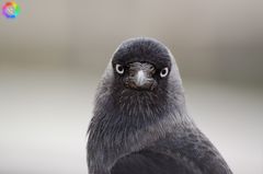 Schnappschuss bei einem Kaffee