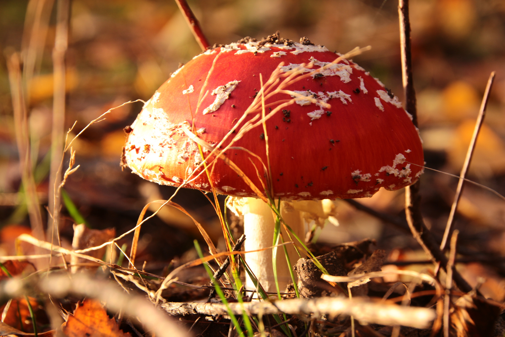 Schnappschuss einer der "Wald-Fototouren"