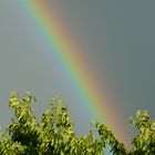 Schnappschuß gestern zwischen Sonne und Regen