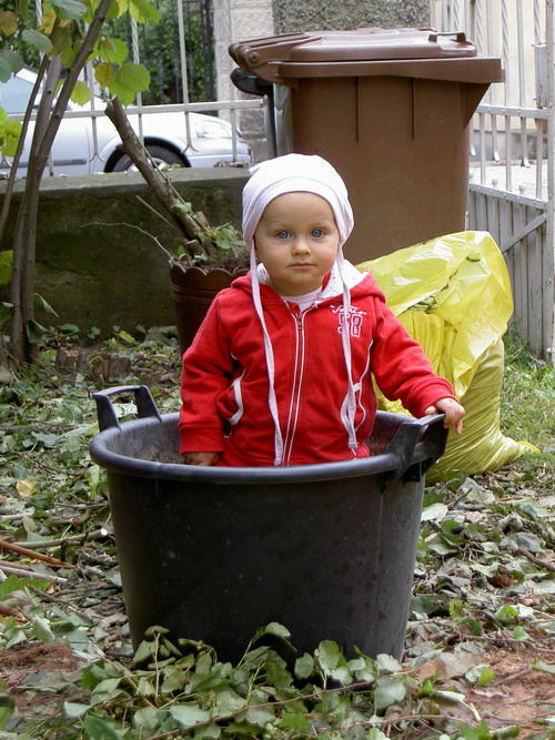 Schnappschuss im Garten