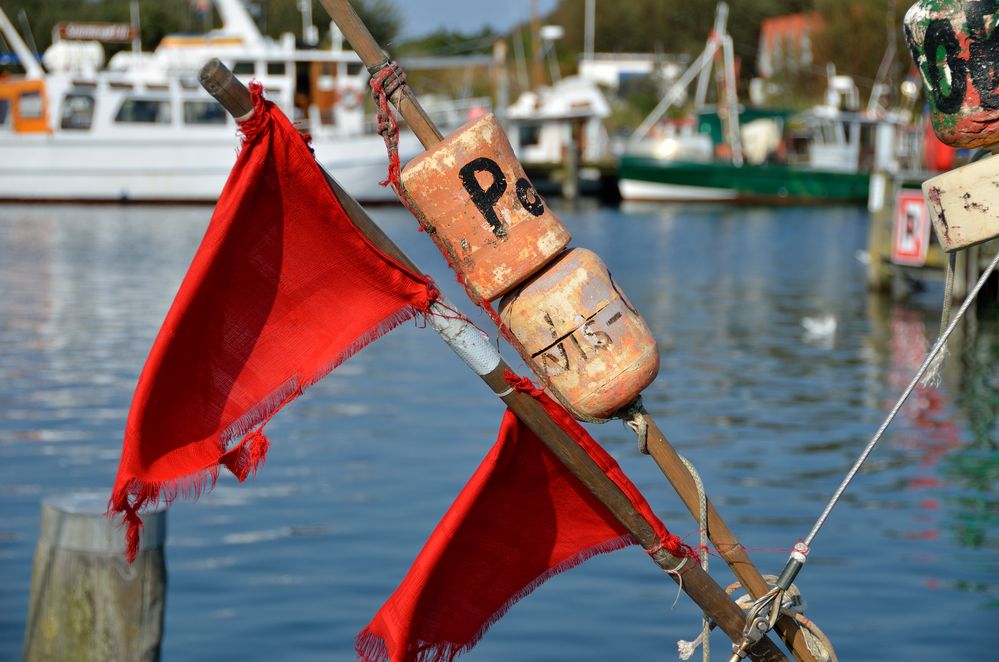 Schnappschuß im Hafen