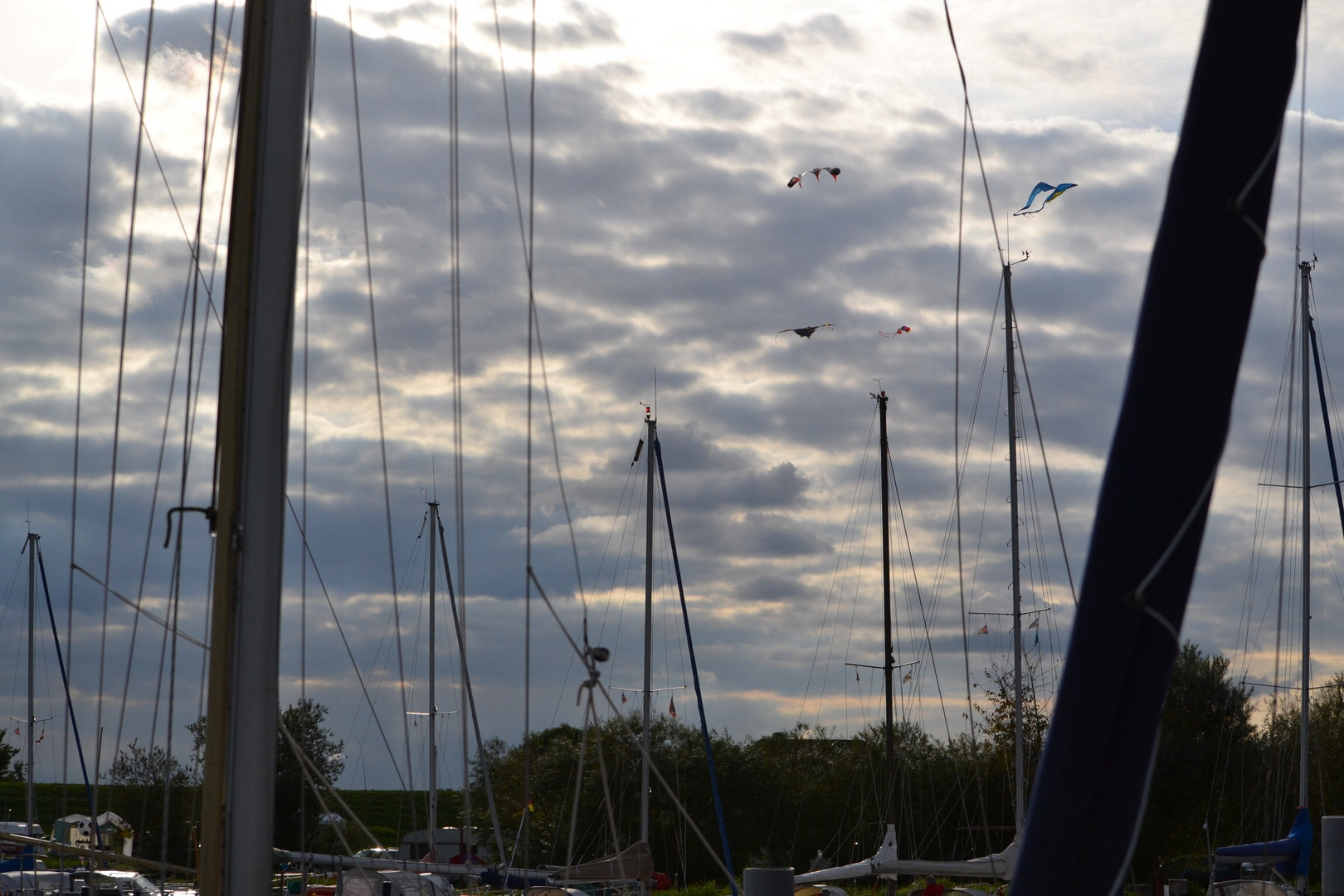 Schnappschuss im Hafen beim Absegeln