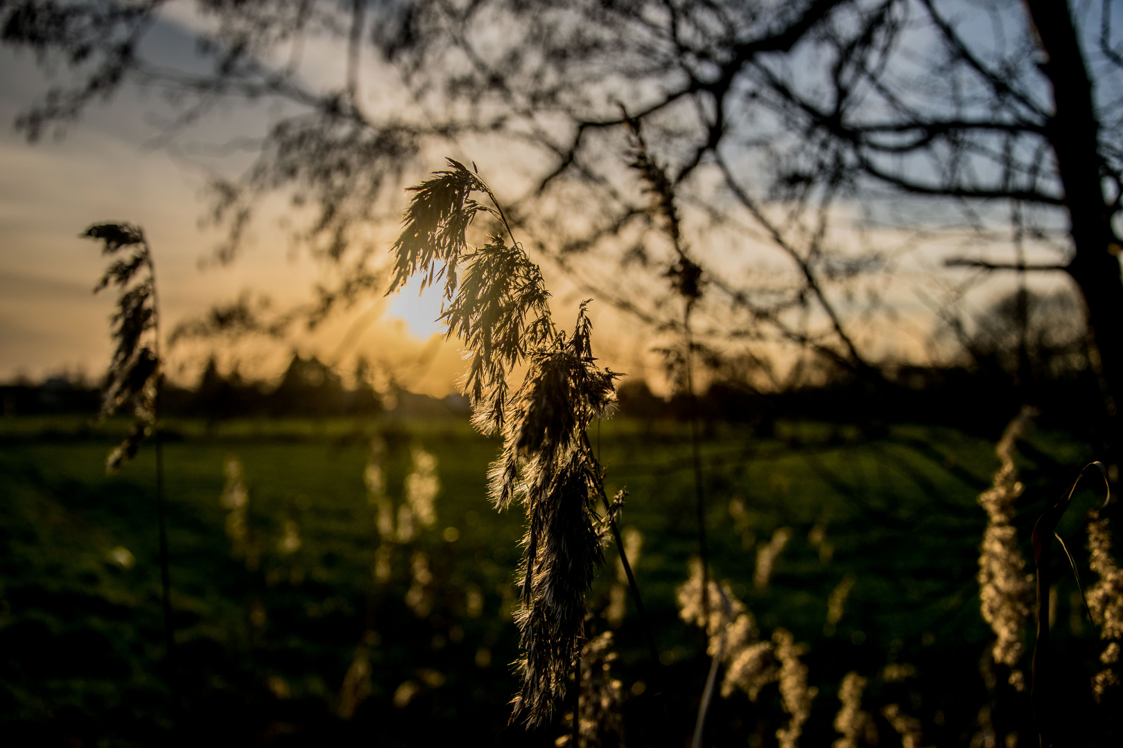 Schnappschuss im Sonnenuntergang