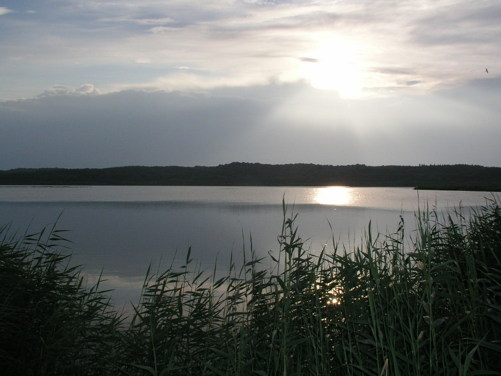 Schnappschuss in Binz auf Rügen