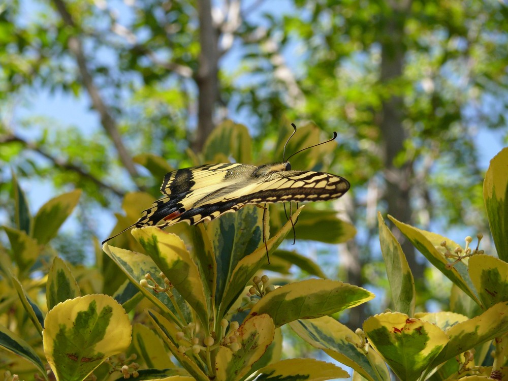 Schnappschuss in Guadalest (Spanien)