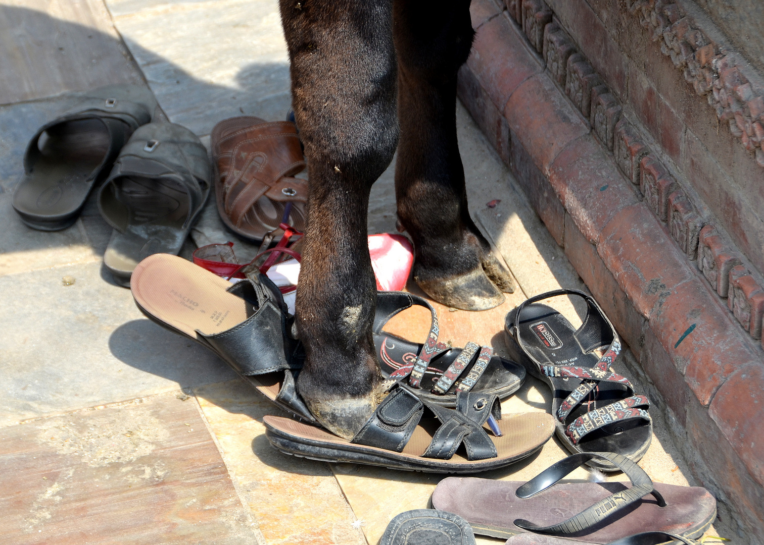 Schnappschuss in Kathmandu