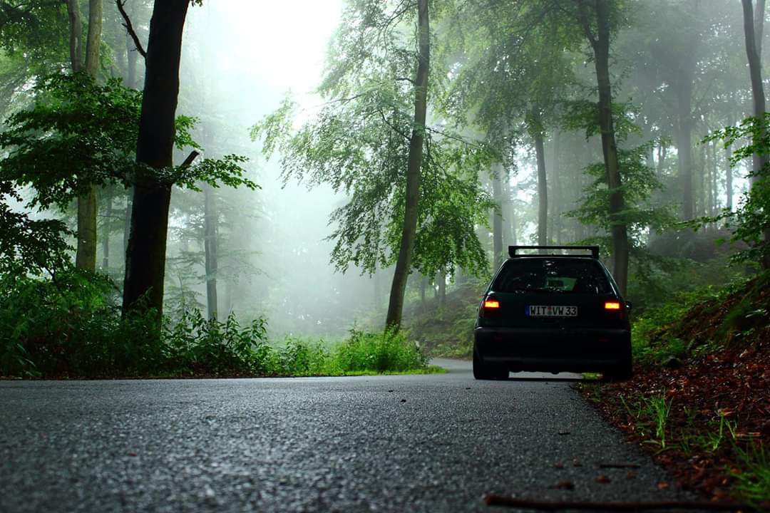 Schnappschuss - Nebeliger Wald