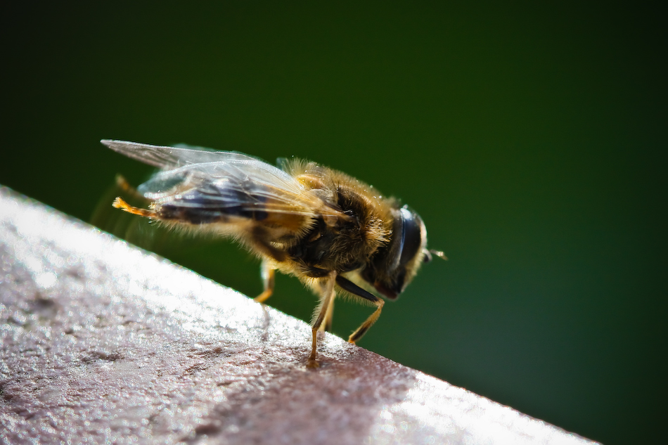 Schnappschuss: Ready for Take-Off