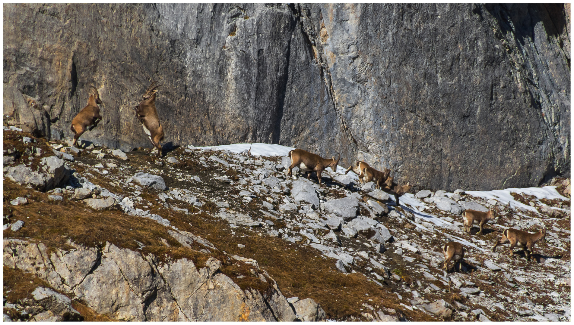 Schnappschuß unter dem Rothorn