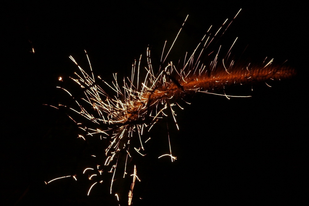 Schnappschuss vom Feuerwerk im Rostocker Zoo