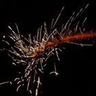 Schnappschuss vom Feuerwerk im Rostocker Zoo