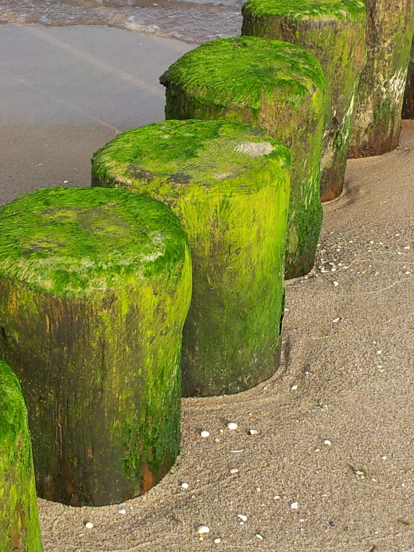 Schnappschuss vom Strand auf Usedom