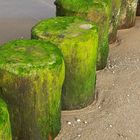 Schnappschuss vom Strand auf Usedom