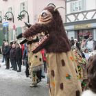 Schnappviecher ausserhalb von Tirol