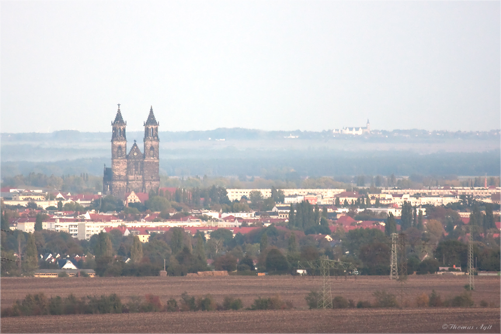 Schnarsleben - Magdeburg - Leitzkau