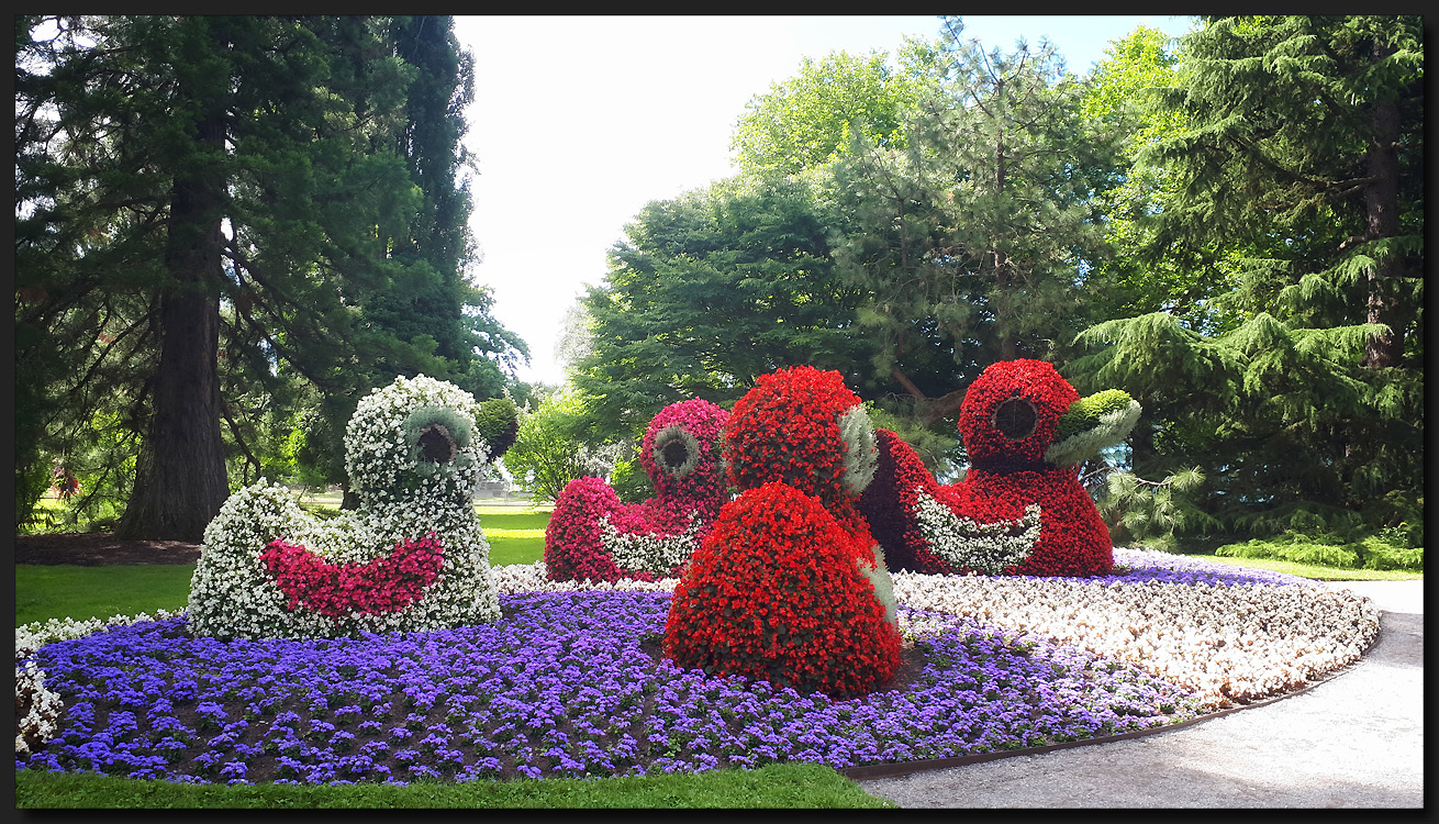 ...Schnatterinchen´s BlumenGrüße...