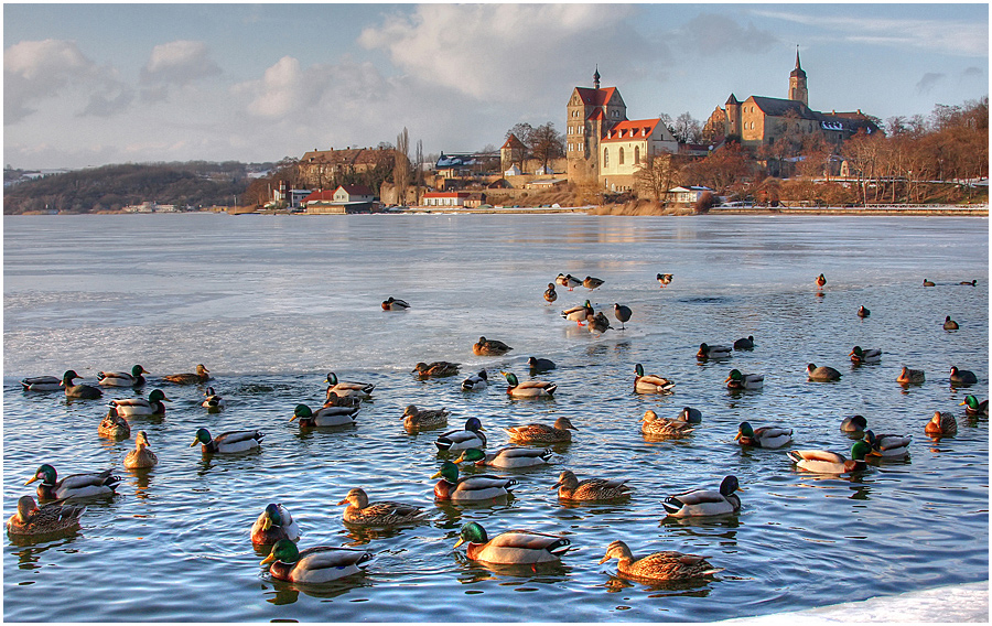 schnattriges am "Süßen See"