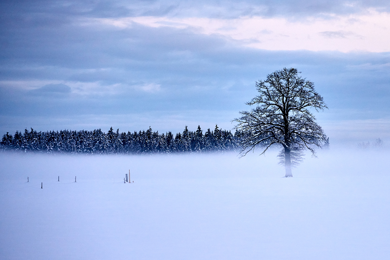 Schnebel am morgen