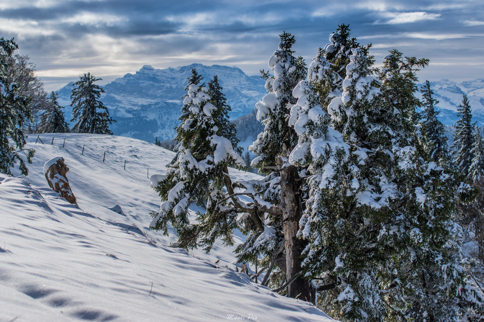 Schnebelhorn -  top of Zurich