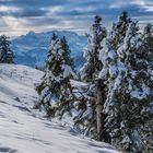 Schnebelhorn -  top of Zurich