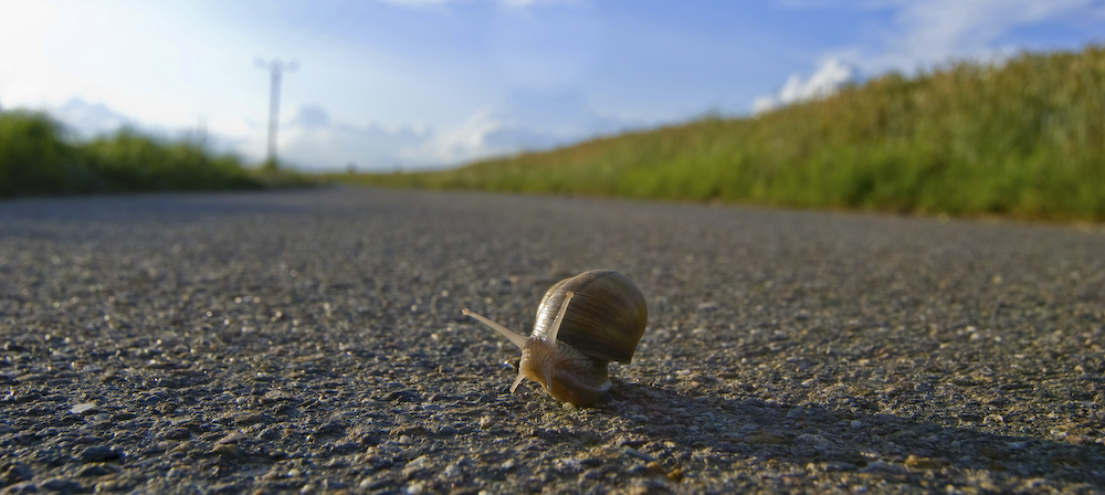 Schnecke @ 12mm