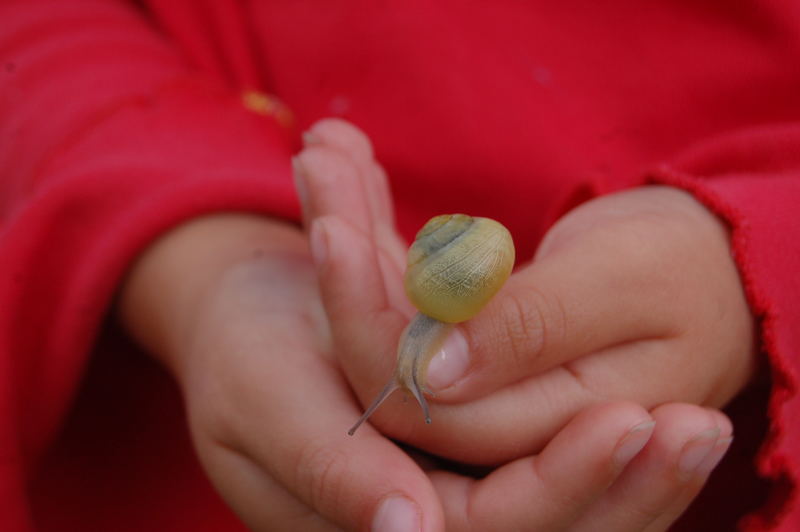 Schnecke...