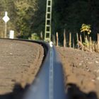 Schnecke auf dem Gleis
