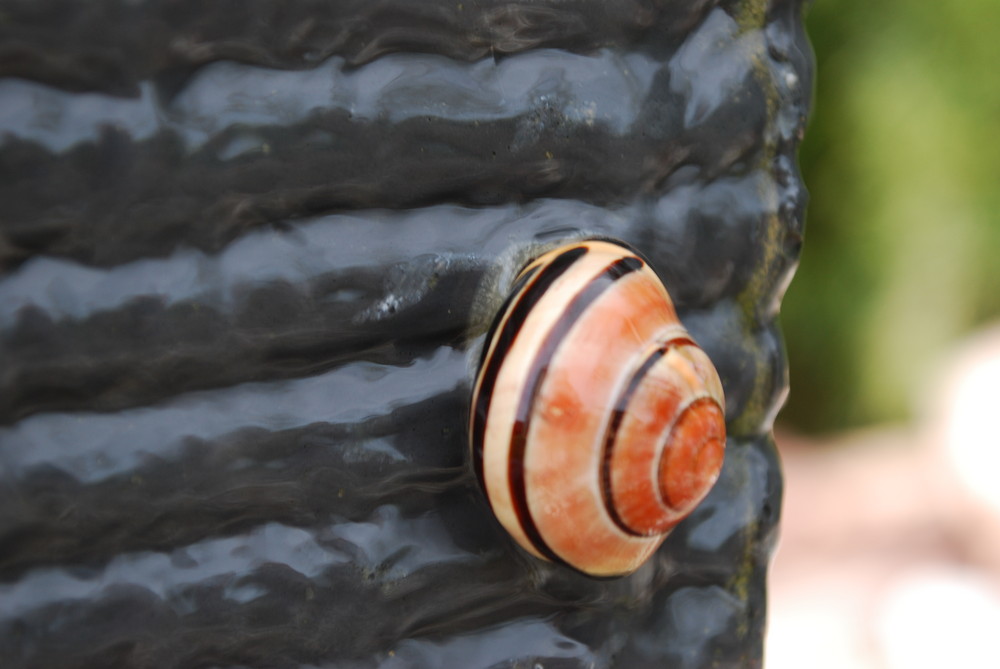 Schnecke auf dem Weg zur Brunnenspitze