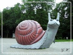 Schnecke