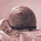 ..:::Schnecke:::..