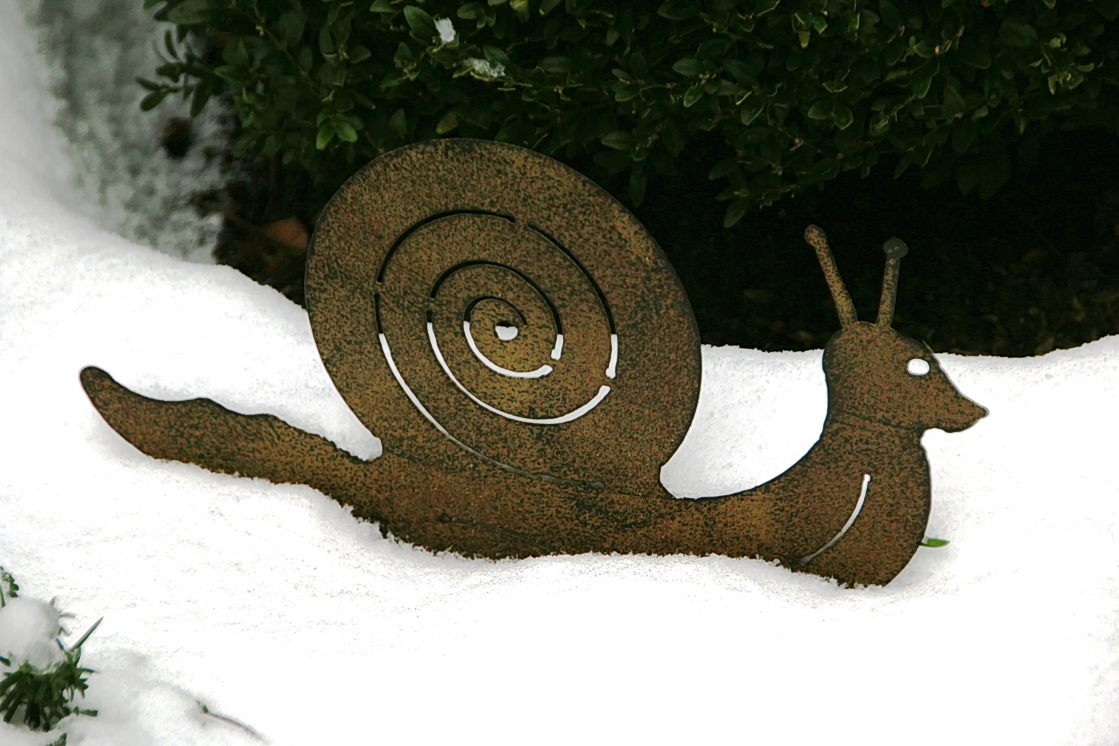 Schnecke im Schnee