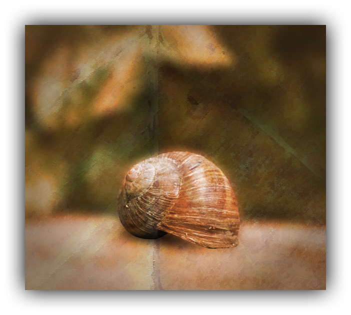 Schnecke in Braun