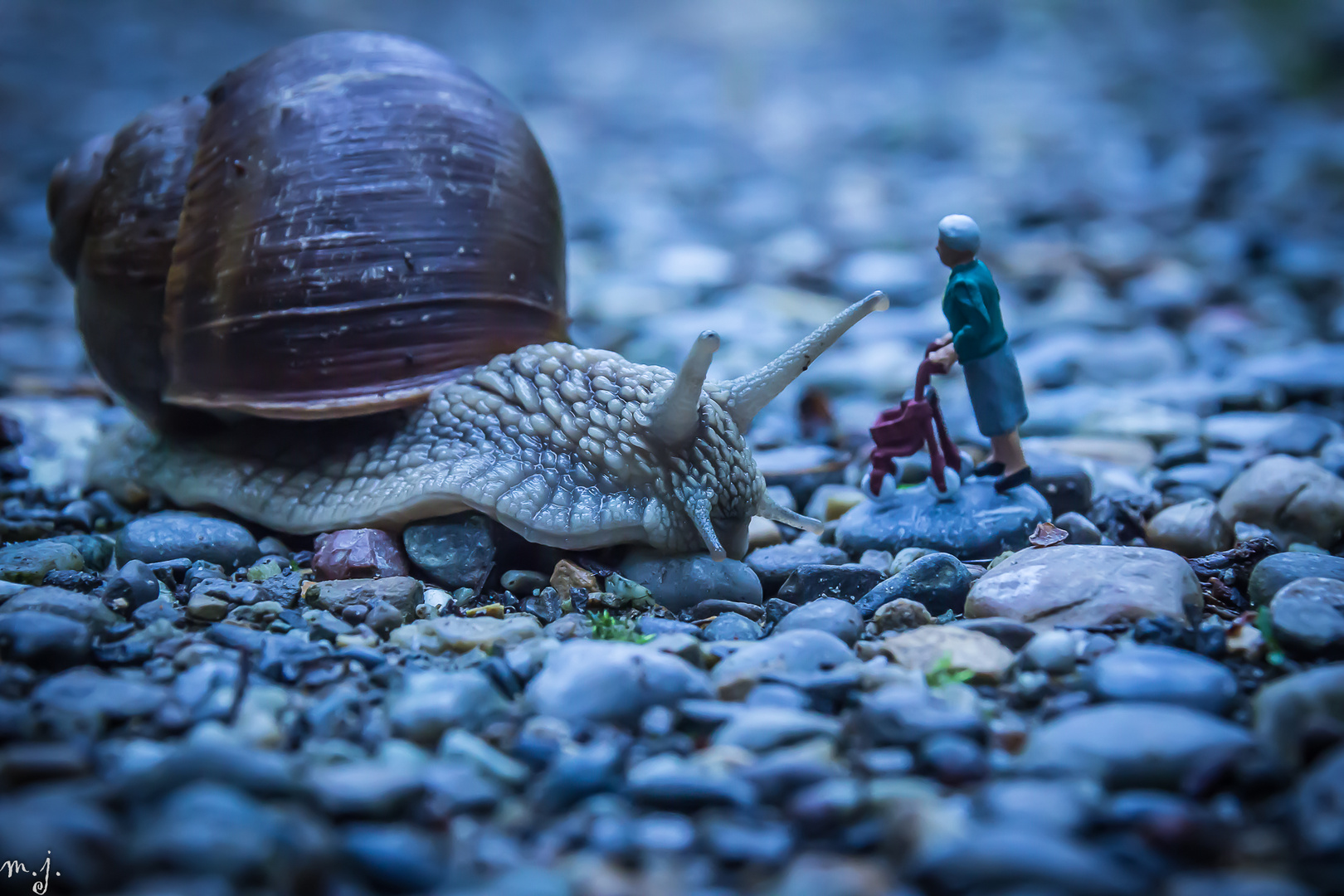 Schnecke mit Rollator-Oma