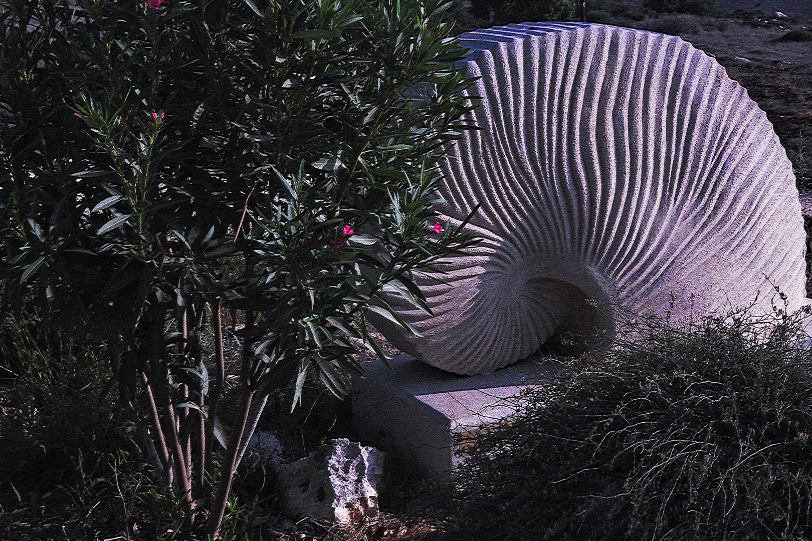 Schnecke unter Blumen 