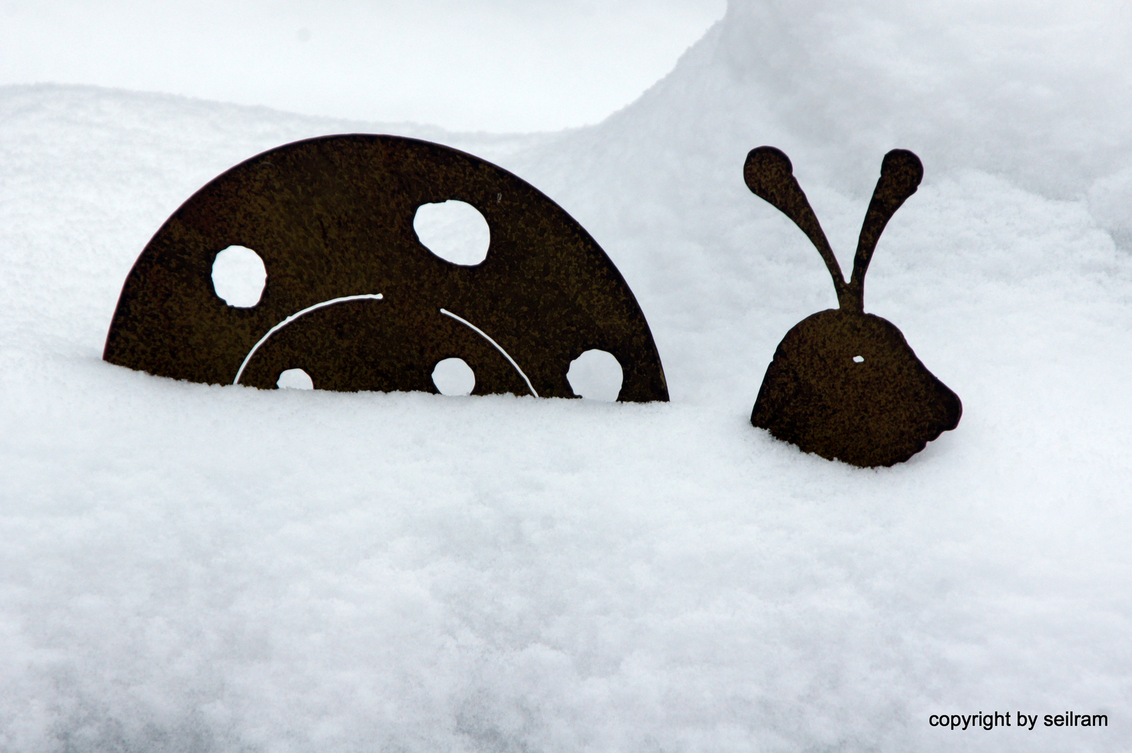 Schnecke versunken im Schnee