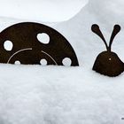 Schnecke versunken im Schnee