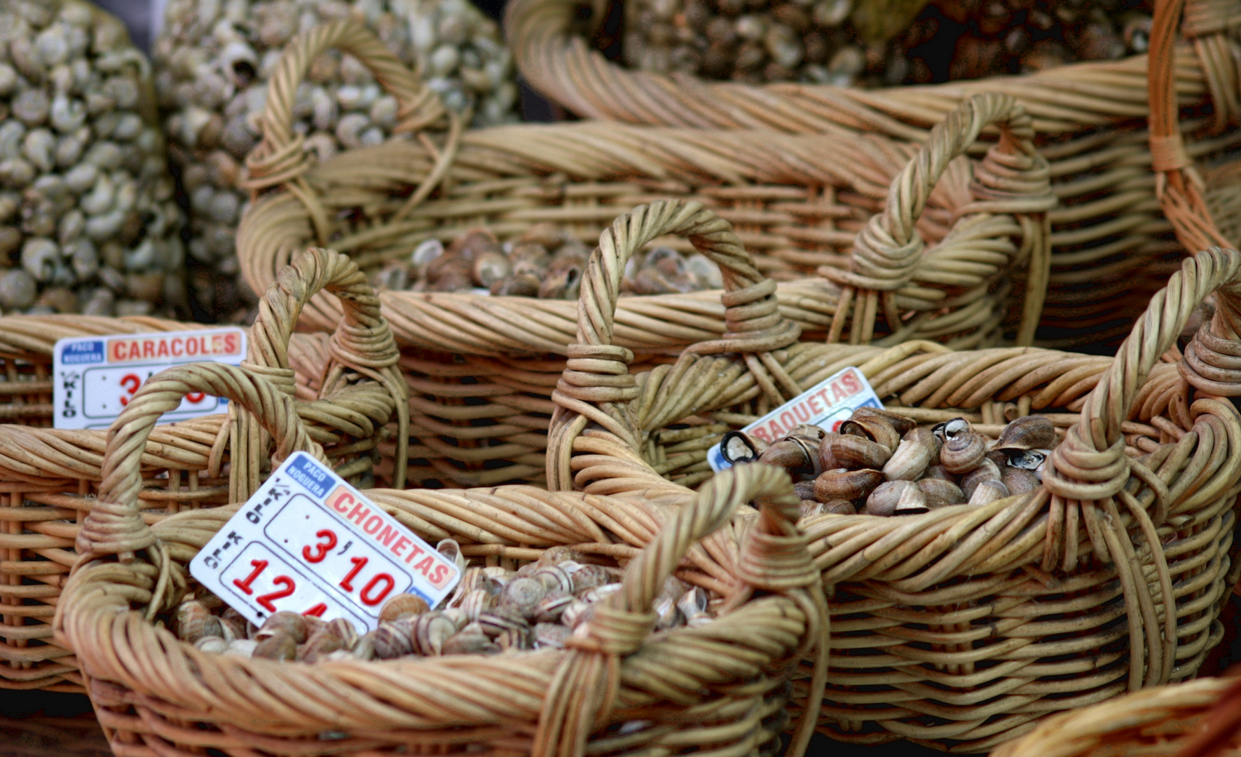 Schnecken