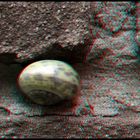 Schnecken-Canyon (3D Anaglyph)