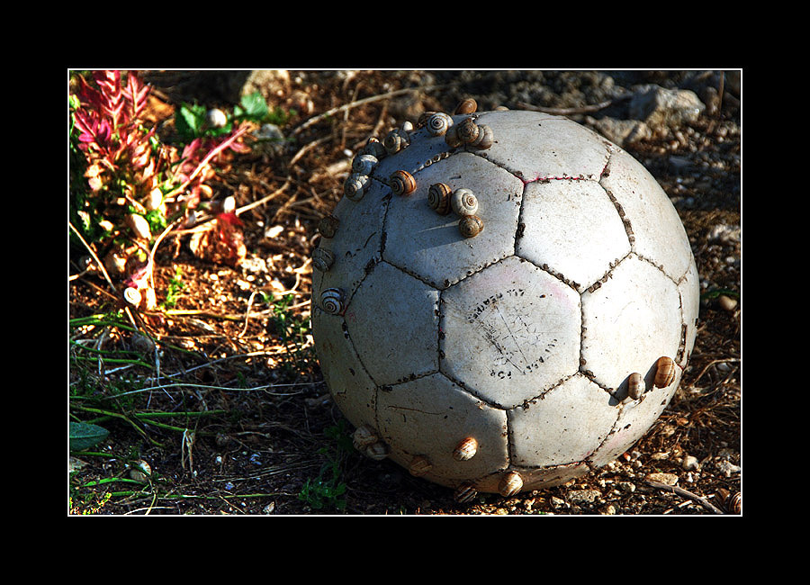 Schnecken-Fussball