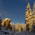 Schneckenstein am Rande der Kammloipe