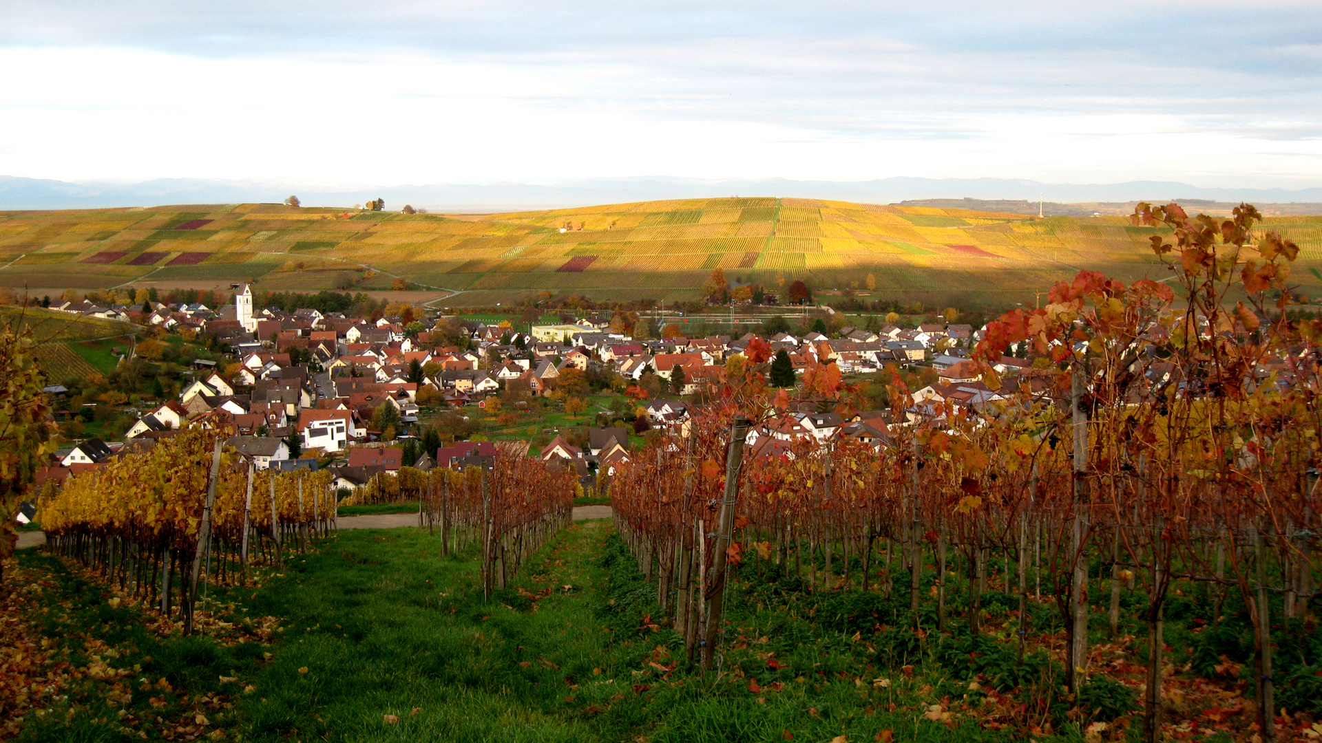 Schneckental morgens im Acht