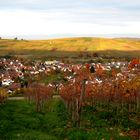 Schneckental morgens im Acht