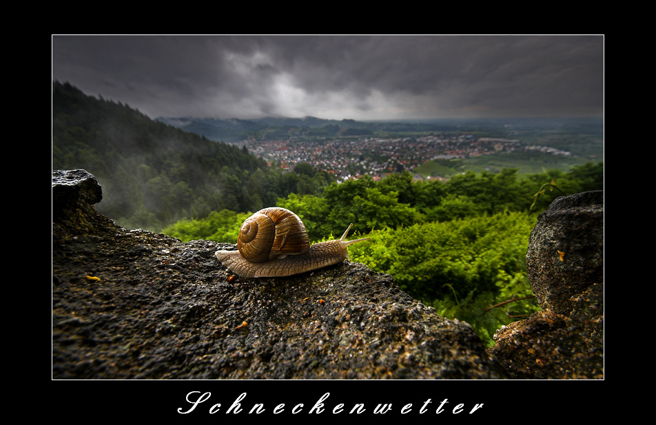 Schneckenwetter