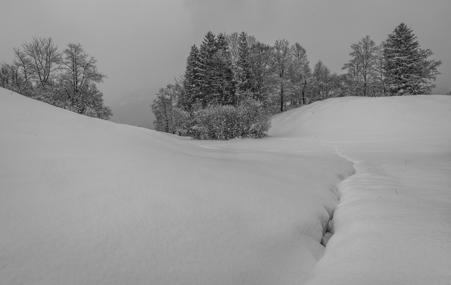 Schnee Foto & Bild projekte, 5 schwarzweißer freitag, thementage