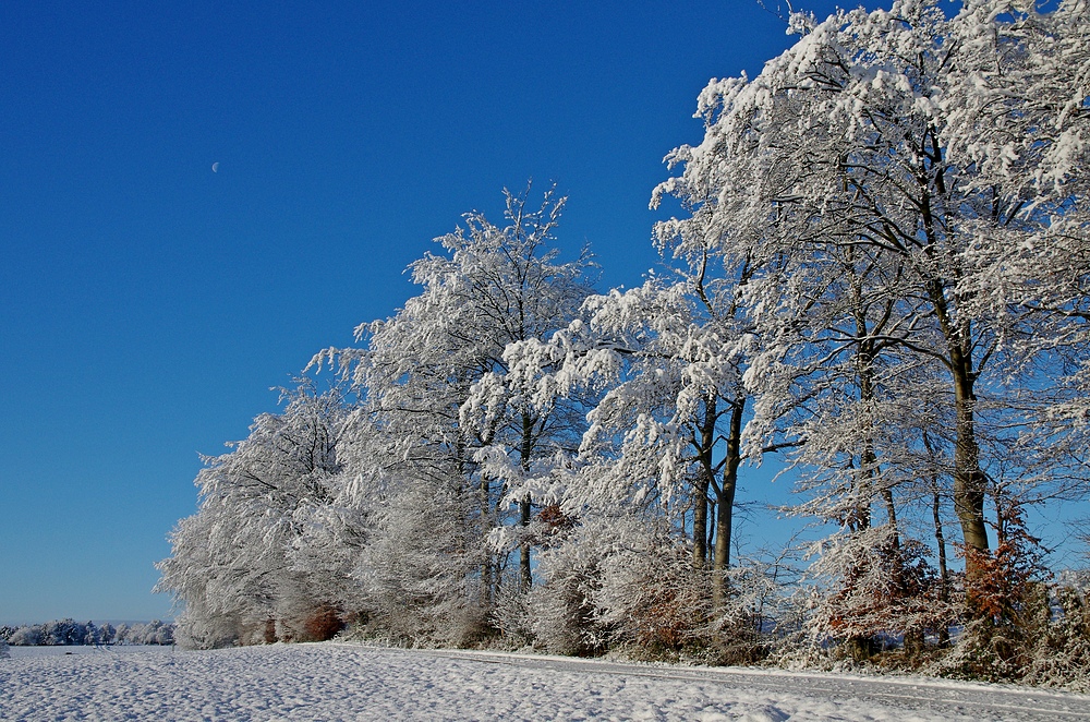 Schnee 14.12.14